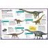 DK My Book of Dinosaurs and Prehistoric Life