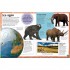 DK My Book of Dinosaurs and Prehistoric Life