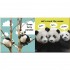 DK Baby Touch and Feel Panda