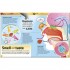 DK The Brain Book