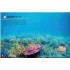 DK Ultimate Sticker Book Sharks