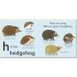 DK H is for Hedgehog