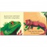 DK I is for Iguana