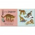 DK J is for Jaguar