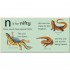 DK N is for Newt