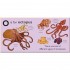 DK O is for Octopus