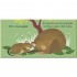 DK Q is for Quokka