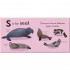 DK S is for Seal