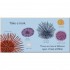DK U is for Urchin