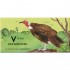 DK V is for Vulture
