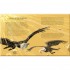 DK Birds and Beasts: Enchanting Tales of India