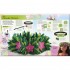 DK Disney Princess Craft Book