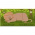 DK Eco Baby: Where Are You Elephant?