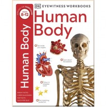 DK Human Body