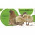 DK Touch and Feel Farm