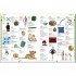 DK Children's Illustrated Dictionary