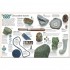 DK Rock and Mineral