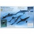 DK Oceans