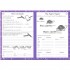DK English Made Easy Ages 8-9 Key Stage 2
