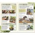 DK RSPB 365 Outdoor Activities You Have to Try