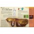DK Children's Book of Philosophy
