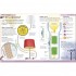 DK How Things Work Encyclopedia