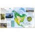 DK Children's Illustrated Animal Atlas
