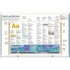 DK Children's Illustrated Thesaurus