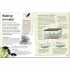 DK Insects and Spiders
