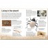 DK Insects and Spiders