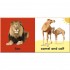 DK Baby Touch and Feel Bible Animals