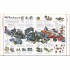 DK Stephen Biesty's Incredible Cross-Sections of Everything