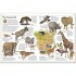 DK The Animal Atlas
