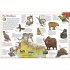 DK The Animal Atlas