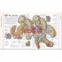 DK Stephen Biesty's Incredible Body Cross-Sections
