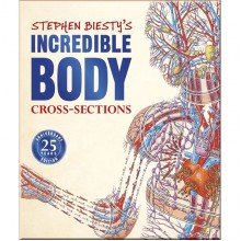 DK Stephen Biesty's Incredible Body Cross-Sections