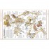 DK Stephen Biesty's Incredible Body Cross-Sections