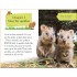 DK Reader Level 2: Meet the Quokkas!