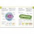 DK Super Simple Biology