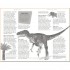 DK Dinosaurs
