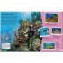DK DKfindout! Oceans