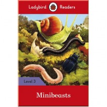 Ladybird Minibeasts - Ladybird Readers Level 3