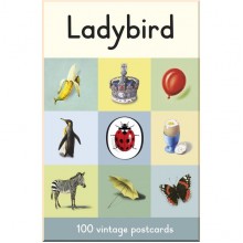 Ladybird Ladybird