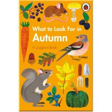 Ladybird What to Look For in Autumn