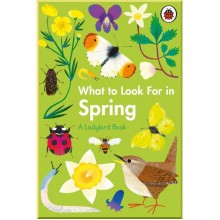 Ladybird What to Look For in Spring