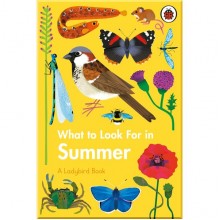 Ladybird What to Look For in Summer