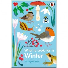 Ladybird What to Look For in Winter