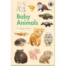 Ladybird A Ladybird Book: Baby Animals