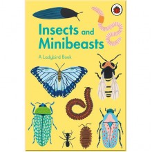 Ladybird A Ladybird Book: Insects and Minibeasts