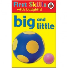 Ladybird First Skills: Big and Little